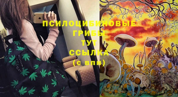PSILOCYBIN Горняк