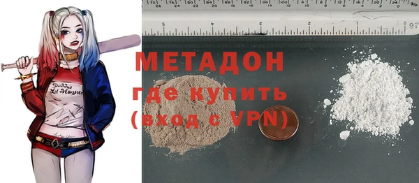 PSILOCYBIN Горняк