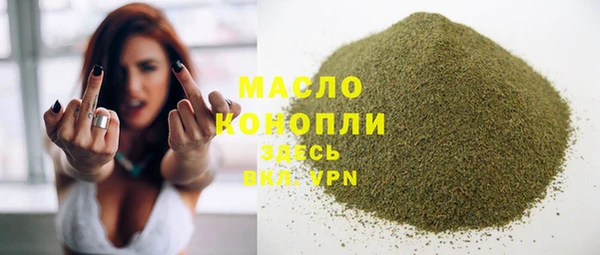 эйфоретик Гусев