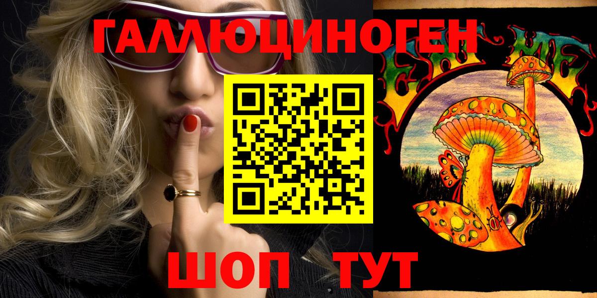 Дивногорск  Галлюциногенные грибы ЛСД  Вход с VPN 