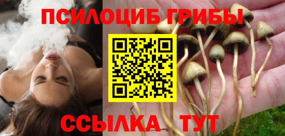 Галлюциногенные грибы мухоморы Дивногорск