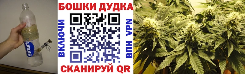 купить сайты Дивногорск mega ссылки Каннабис конопля